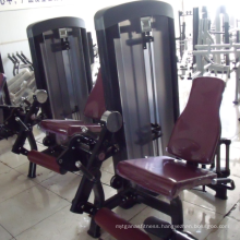 gym equipment Leg Extension XH905